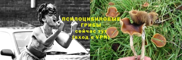 скорость Майский