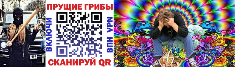 даркнет сайт Майкоп Псилоцибиновые грибы мицелий