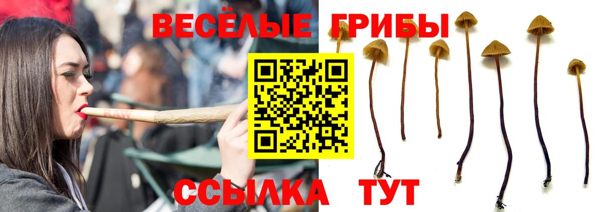 Псилоцибиновые грибы Magic Shrooms  Вход с VPN  Псилоцибиновые грибы прущие грибы  Майкоп 
