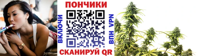 дарнет шоп  Майкоп  Канабис White Widow 