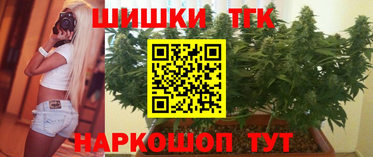 Марихуана гибрид Майкоп
